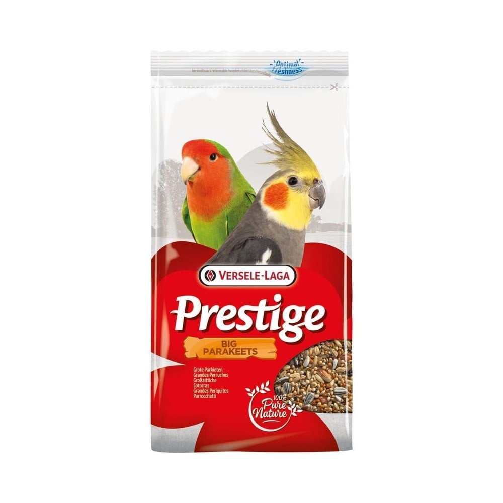 Big Parakeets 1Kg B1113