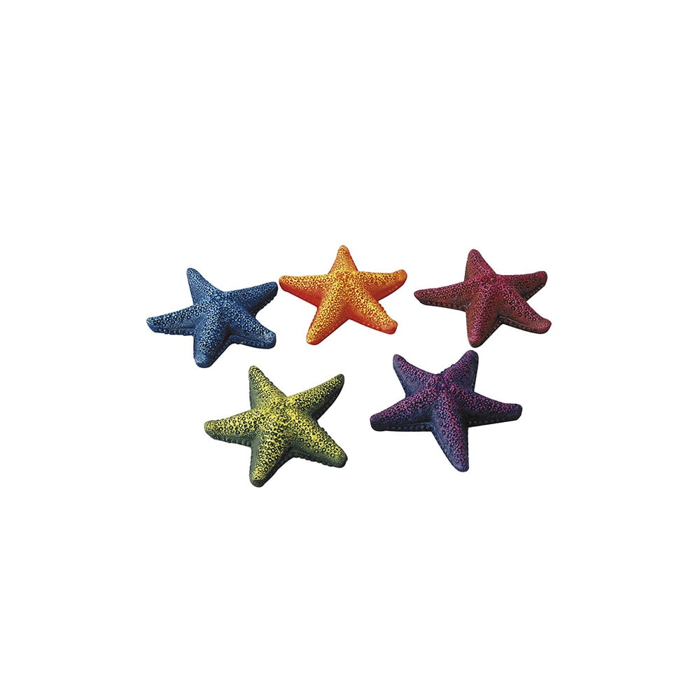 Starfish Assorted 8,5cm 15