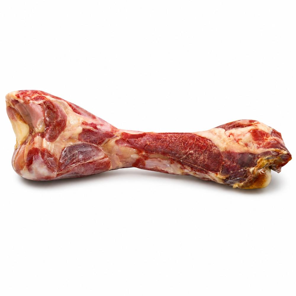Camon skinkubein – Femur, 390 g