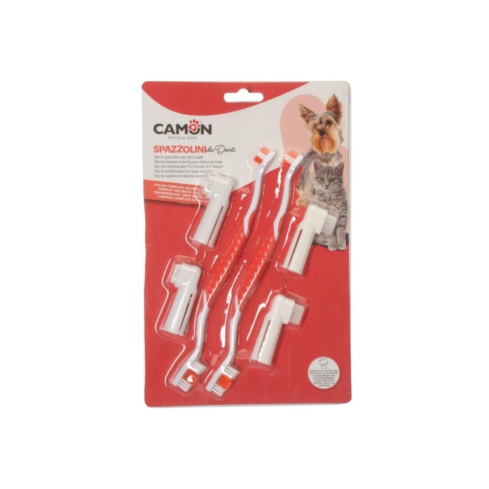 Toothbrush set