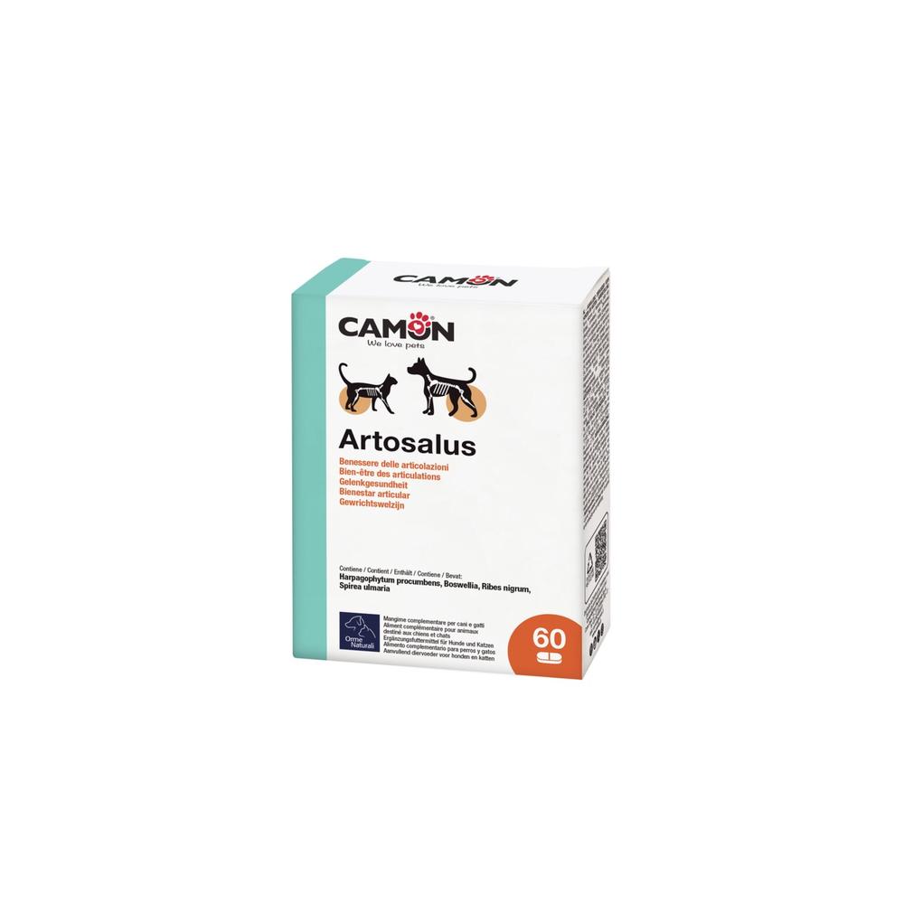 ARTOSALUS 60 tablets