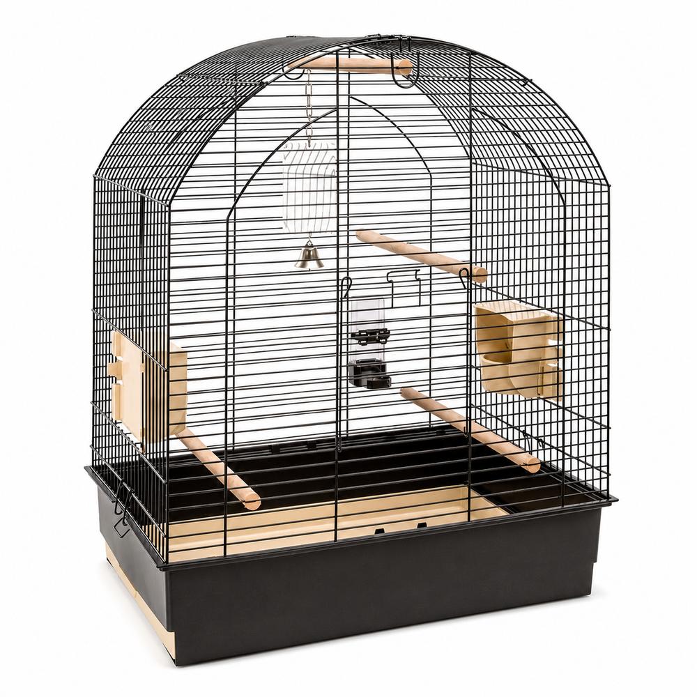 Fuglabúr – Greta Svart