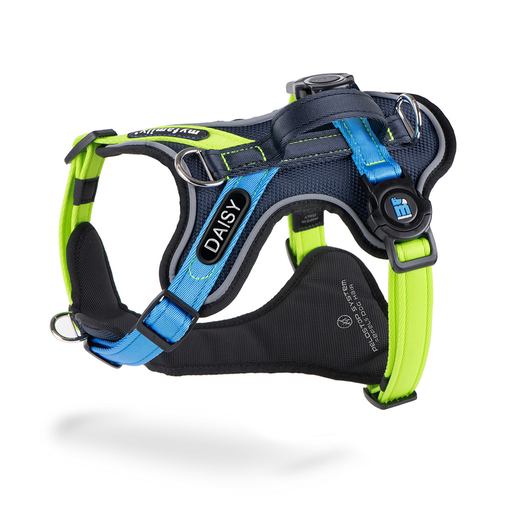 H-Harness With Handle Memopet Id Polyester Teal 1.2 – Size XS with ID Tag