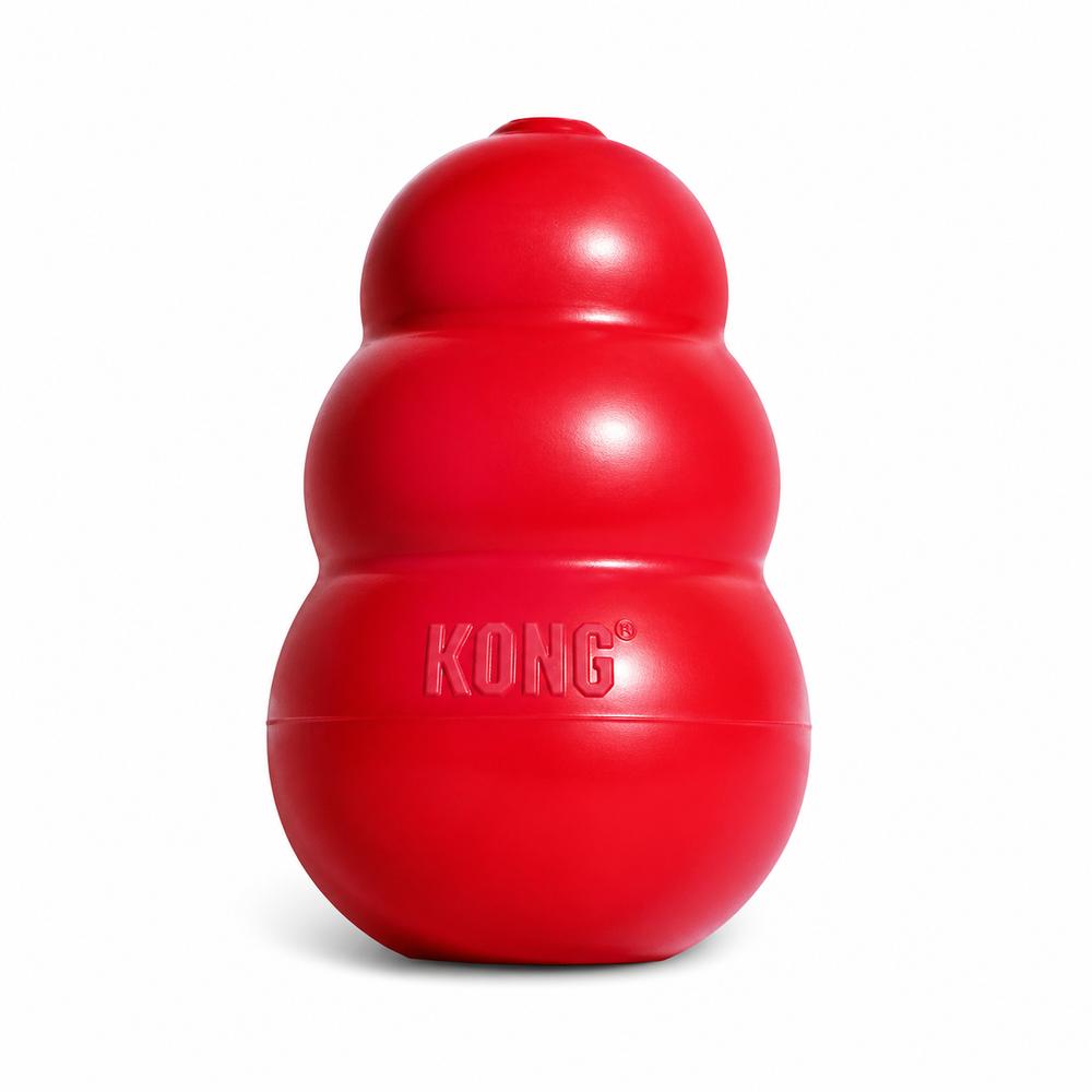 Kong leikfang fyrir smádýr