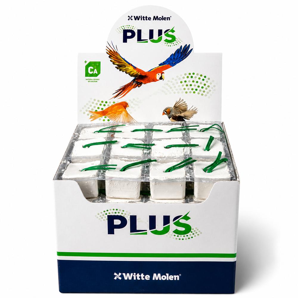Energy block S white