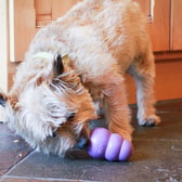 Kong Senior Large – mynd 2