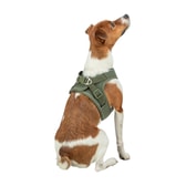 Trixie UrbanVest hundabeisli – ólífugrænt XS – mynd 3