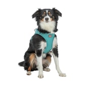 Trixie UrbanVest hundabeisli – aqua S – mynd 2