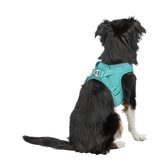 Trixie UrbanVest hundabeisli – aqua S – mynd 3