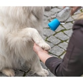 Trixie færanleg hundasturta – blá 5×5,5 cm – mynd 2