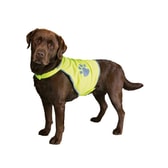 Safety vest for dogs XS – mynd 2