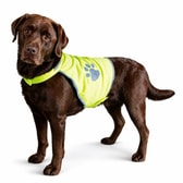 Safety vest for dogs L – mynd 2