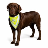 Trixie Safer Life endurskinsklútur – L–XL 43–60 cm – mynd 2