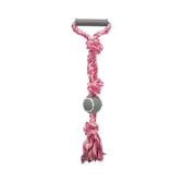 Denta Fun Tennis Ball On A Rope 6Cm/50Cm 3 – mynd 2