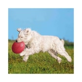 Trixie frisbídiskur, fljótandi – 24 cm – mynd 3