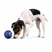 Heilaþraut Snack ball 7cm – mynd 1