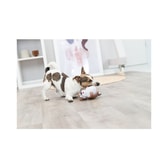 Dog Latex 14 Cm 3 – mynd 5