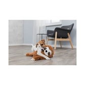 Trixie mjúkdýr – letidýr 56 cm – mynd 3