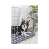 Trixie flutningsbúr – L 93×69×62 cm – mynd 3