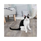 Catnip Sápukúlur fyrir kisur – mynd 4
