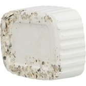 Pikksteinn með skeljum 200 g – mynd 4