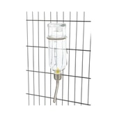 Drykkjarflaska gler 250ml – mynd 2