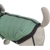 Trixie Pontis kápa með beisli – salvíugræn, XS: 30 cm – mynd 2