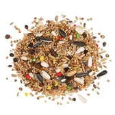 Country  Large Parakeet 2,5kg – mynd 5