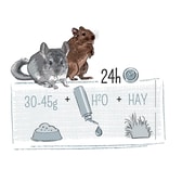 Witte Molen Puur fóður fyrir chinchilla og degú – 500 g – mynd 3
