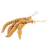 Witte Molen hirsistönglar – 150 g – mynd 2