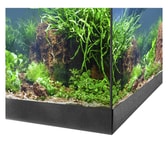 Eheim Aquastar 54 LED fiskabúrssett – svart – mynd 4