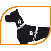 Ferplast Nikita P-beisli – blátt, XS – mynd 3