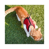 Ferplast Jogging kattabeisli – XL – mynd 4