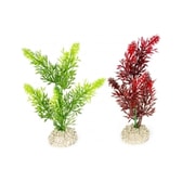 Fiskabúraskraut Elodea Densa S 13cm – mynd 2