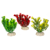 Fiskabúraskraut Canadensis S 13cm – mynd 1