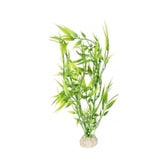 Fiskabúraskraut Bamboo 27cm – mynd 1