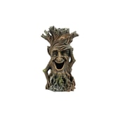 Fiskabúrsskraut – Tree Face 2 13,7×11,8×23,5 cm – mynd 2