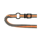 Trixie hlaupataumur – petrol/aqua, 1,33–1,80 m/20 mm – mynd 2