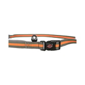 Trixie hlaupataumur – petrol/aqua, 1,33–1,80 m/20 mm – mynd 5