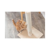 Trixie Batres kattaklórustaur – 62 cm, beige – mynd 5