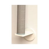 Trixie veggeining I – mynd 2