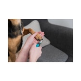 Trixie naglaklippur – 12,5 cm – mynd 2