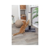 Batres klórustaur 62 cm platinum grey – mynd 2