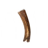 Hjartarhorn fyrir hunda – XL – mynd 3