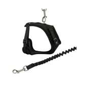 Trixie Y-beisli úr neti fyrir ketti með taum – 39–60 cm – mynd 2