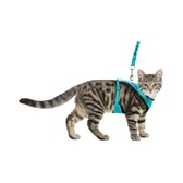 Trixie Y-beisli úr neti fyrir ketti með taum – 39–60 cm – mynd 5