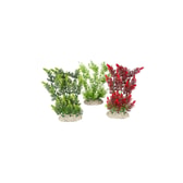 Gerviplanta fyrir fiskabúr – Elodea Densa L, hæð 25 cm – mynd 2