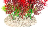 Gerviplanta fyrir fiskabúr – Elodea Densa L, hæð 25 cm – mynd 3