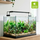 Hydor LED-ljós fyrir fiskabúr AQ Lux 500 Fresh – mynd 3