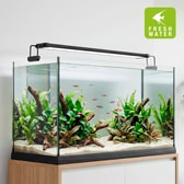 Hydor LED-ljós fyrir fiskabúr AQ Lux 700 Fresh – mynd 3